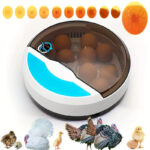 Chicken Egg Incubator - Image 2