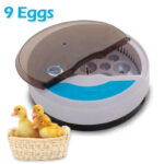 Chicken Egg Incubator - Image 3