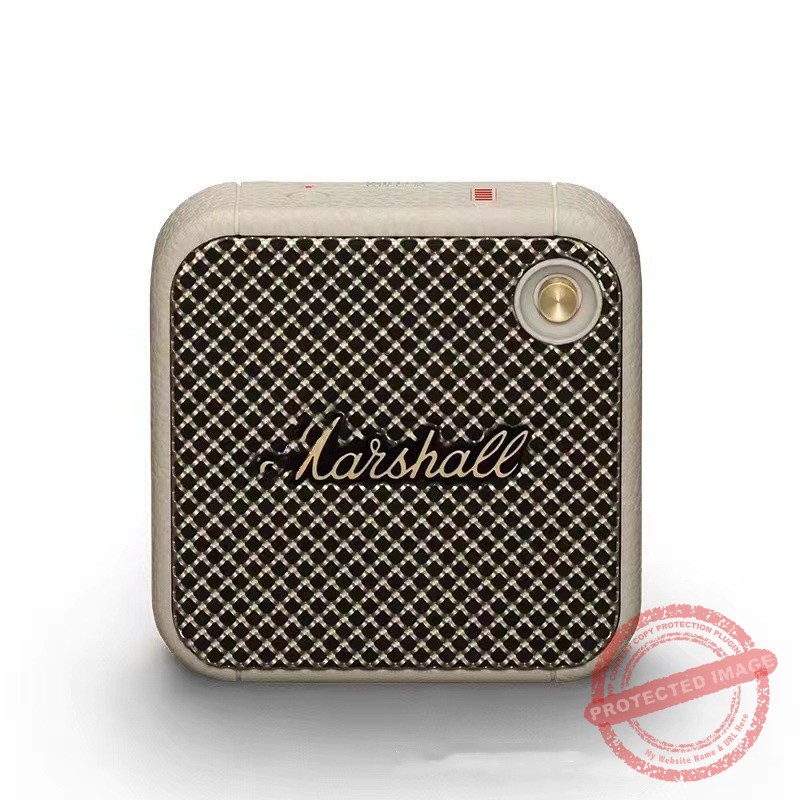 Marshall Willen Speaker - Image 2