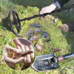 Tianxun TX-850 Waterproof Metal Detector - Image 7