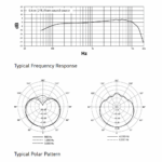 Shure MV7+ Cardioid Podcast Microphone - Image 2