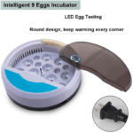 Chicken Egg Incubator - Image 8