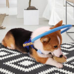 Blind Dog Safety Ring - Image 2