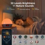 AryaWake Sunrise Alarm Clock - Image 2