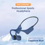 Guudsound Bone Conduction Swimming Headphones