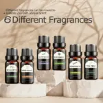 Qinux AroNature - Image 2