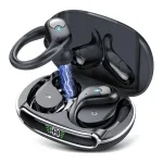 DrivBuds Bluetooth 5.3 Earphones