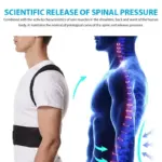 Zenvora Posture Corrector for Women and Men - Image 2